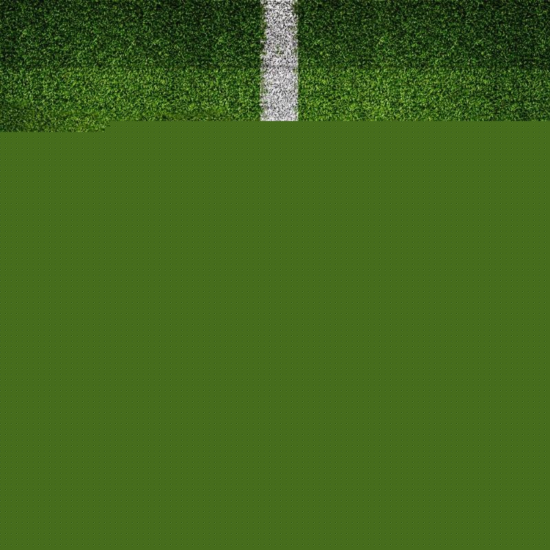 张之臻不得 张之臻不得